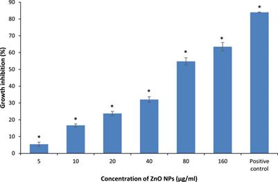 Remedial Aspect of Zinc Oxide Nanoparticles Against Serratia Marcescens and Enterococcus Faecalis